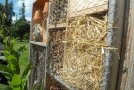 Insektenhotel