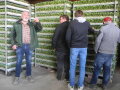 Personen im Gespräch vor Paletten mit Pflanzen