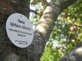 Apfelbaum mit Schild