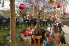 Leute im Garten musizieren und singen