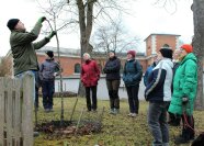 Mann schneidet Baum und Frauen schauen zu