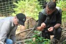 Zwei Männer begutachten den Boden im Wald