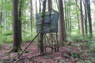 Hochsitz im Wald