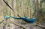 Hängematten sind im Wald gespannt