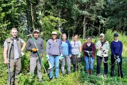 Personen stehen mit Spaten im Wald