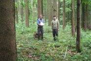 Personen stehen im Wald und blicken auf Bäume