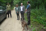 Personen stehen auf einem Waldweg