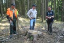 Drei Personen stehen im Wald