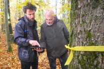 Zwei Männer stehen in einem Waldstück und schauen auf ein Tablet