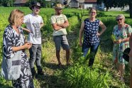 Personen stehen auf einem Feld