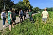 Personen stehen auf Feld