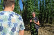 Frau steht vor Hopfengarten und hält eine Hopfenrebe in der Hand