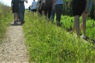 Personen laufen einen Feldweg entlang