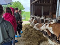 Personen stehen im Kuhstall