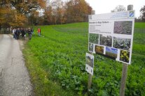 Im Vordergrund steht eine Schautafel, im Hintergrund sieht man Personen auf einem Feld
