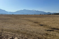 Moorlandschaft vor Bergkette